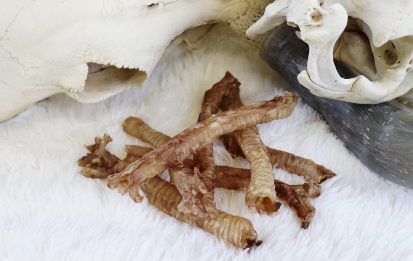 4741379501137.jpg Tessa kuivatatud sea trahhea koertele 100g - Image 1