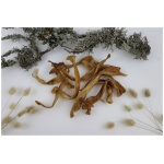 OTTOMAR KOERA MAIUS KUIVATATUD SEAKÕRVA VIILUD 100G