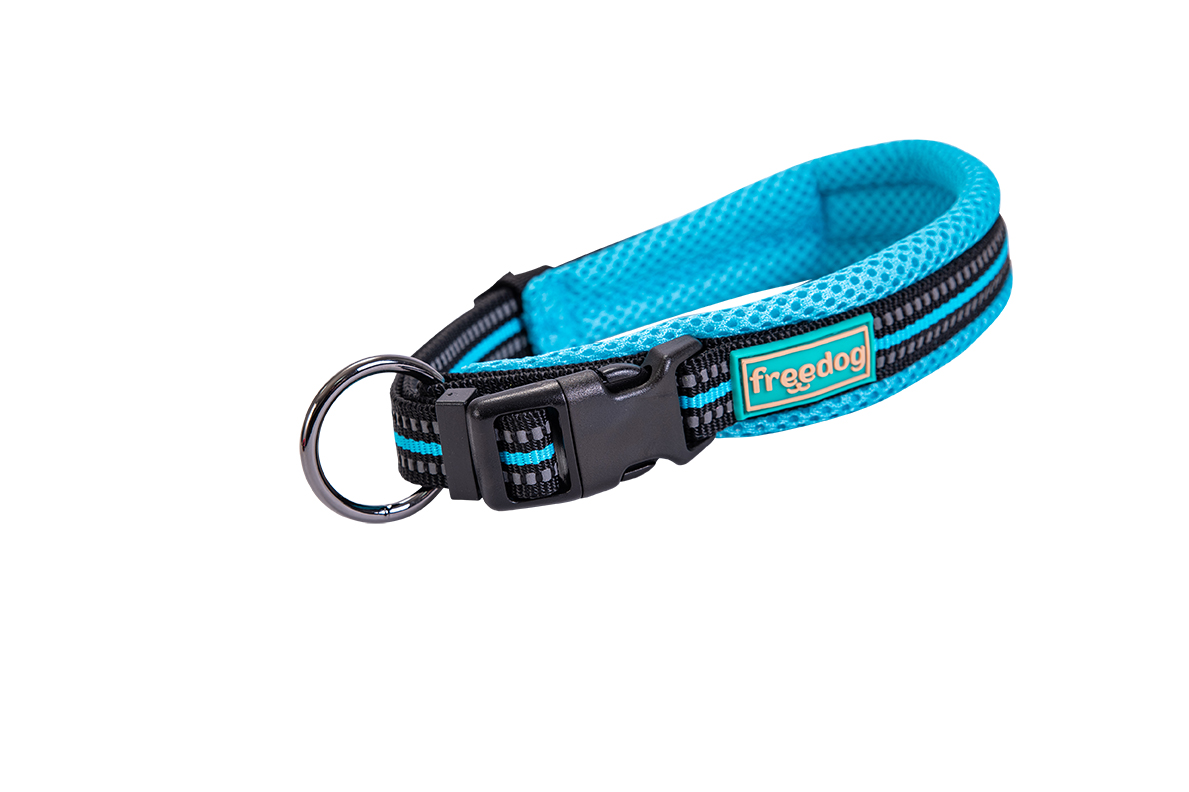 8429083031541.jpg Freedog Soft-Sport türkiissinine nailonist kaelarihm 25mm x 38/66cm - Image 1