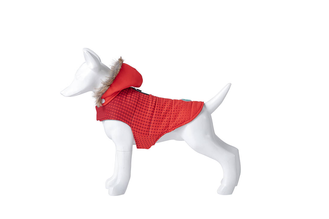 8429083042752.jpg Freedog Abrigo punane jope koerale 25cm - Image 1