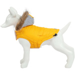 Freedog ECO Abrigo kollane jope koerale 25cm