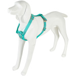 Freedog Saferide türkiissinised turvatraksid koerale M 25mm x 43/58cm