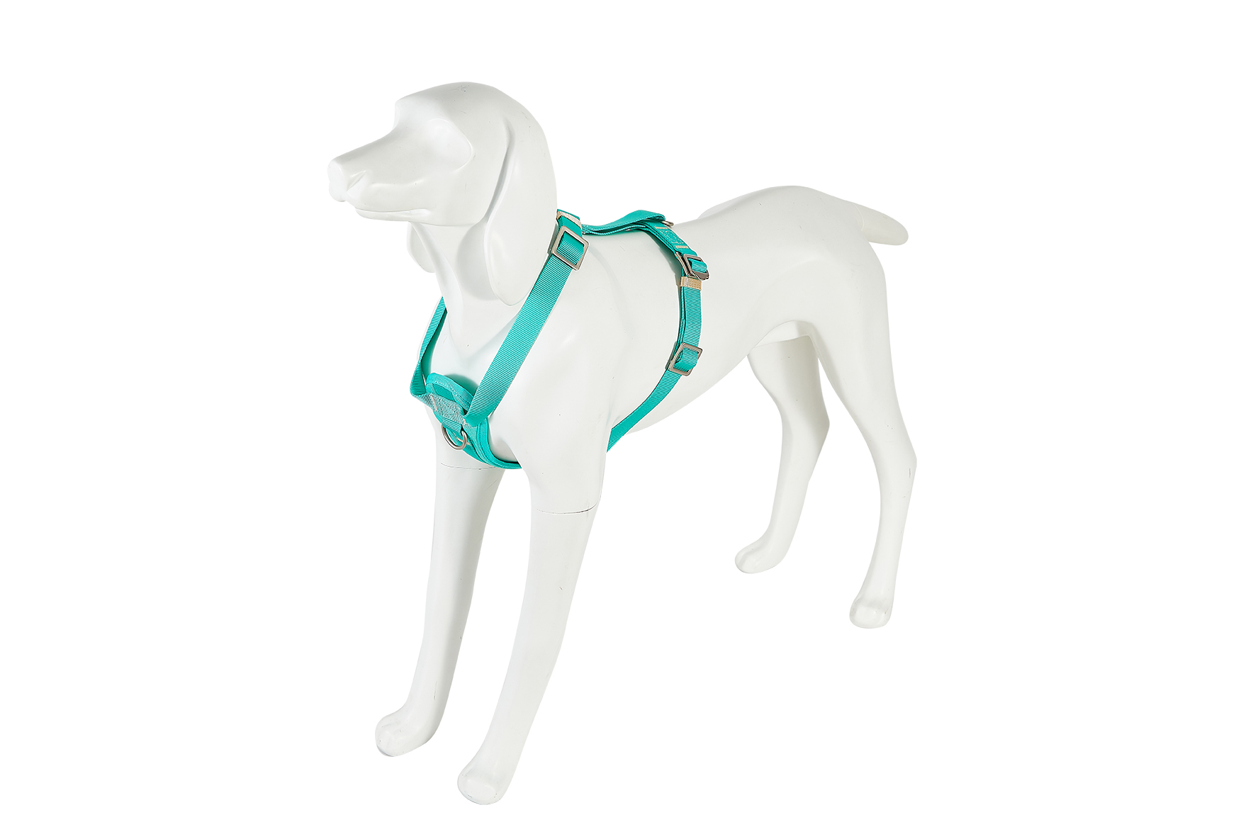 8429083052652.jpg Freedog Saferide türkiissinised turvatraksid koerale M 25mm x 43/58cm - Image 1