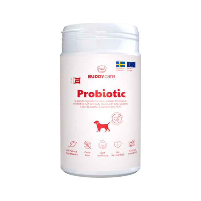 280185.jpg BUDDY CARE KOERA NÄRIMISMAIUS PROBIOTIC 150G - Image 1