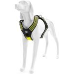 Record kollased traksid koerale 70-95cm L