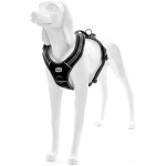 Record mustad traksid koerale 60-72cm M