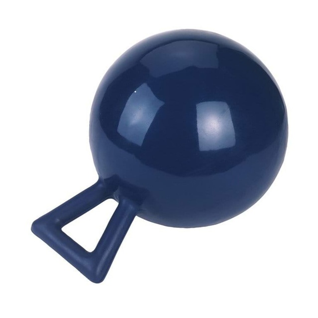 289051.jpg KERBL KOERA MÄNGUASI PALL 25CM SININE - Pilt 1
