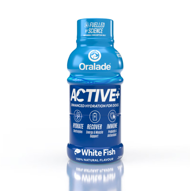 290429.jpg ORALADE ACTIVE JOOK KOERTELE KALAGA 250ML N1 - Pilt 1