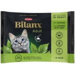 BF KASSI EINEKOTIKE BILANX VALIKP. KANA/VEIS KASTMES 85G N4