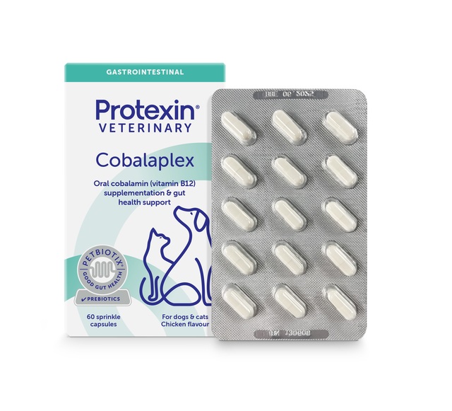 145898.jpg PROTEXIN COBALAPLEX FOR DOGS AND CATS CAPS N60 - Pilt 1