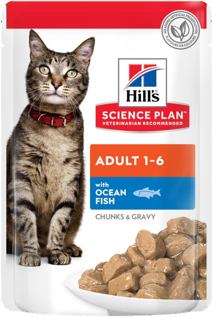148017.jpg HILLS KASSI EINEKOTIKE OOKEANIKALA 85G N12 - Pilt 1