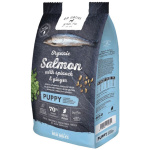 GO NATIVE KUTSIKA TÄISSÖÖT LÕHE/SPINAT/INGVER 12KG