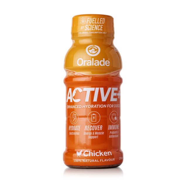 247883.jpg ORALADE ACTIVE JOOK KOERTELE KANAGA 250ML N1 - Pilt 1