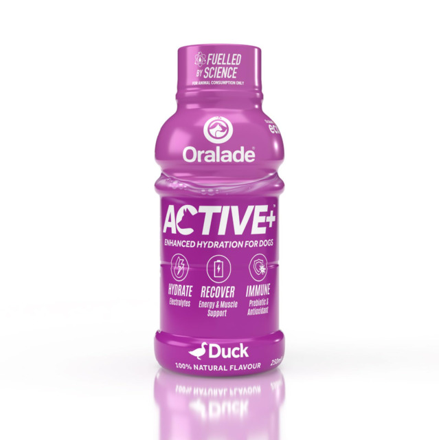 247884.jpg ORALADE ACTIVE JOOK KOERTELE PARDIGA 250ML N1 - Pilt 1