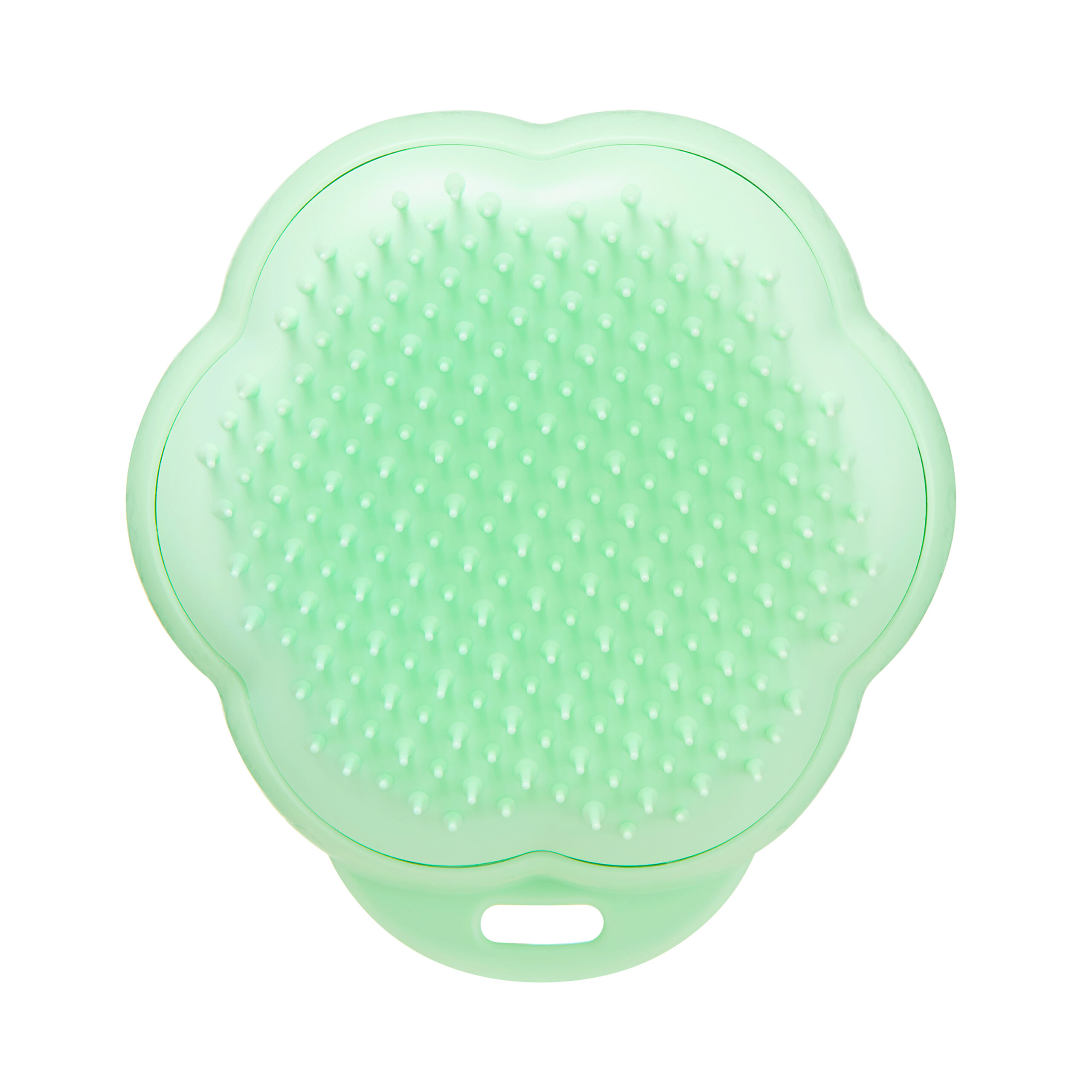 5060926680415.jpg Pet Teezer roheline grooming hari kassile - Pilt 1