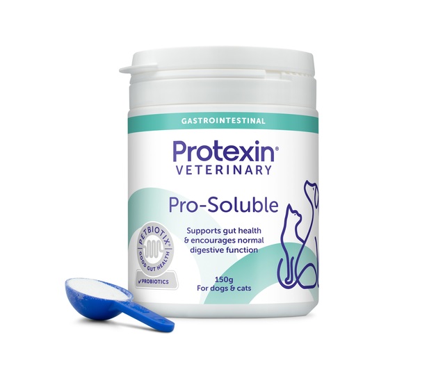 67383.jpg PROTEXIN PRO-SOLUBLE DOGS AND CATS 150G - Pilt 1