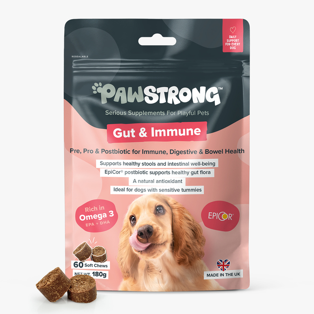 194202.jpg PAWSTRONG KOERA NÄRIMISTABLETT GUT & IMMUNE N60 - Pilt 1